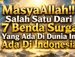 Masyaallah, 1 dari 7 Benda Surga Ternyata Ada di Indonesia