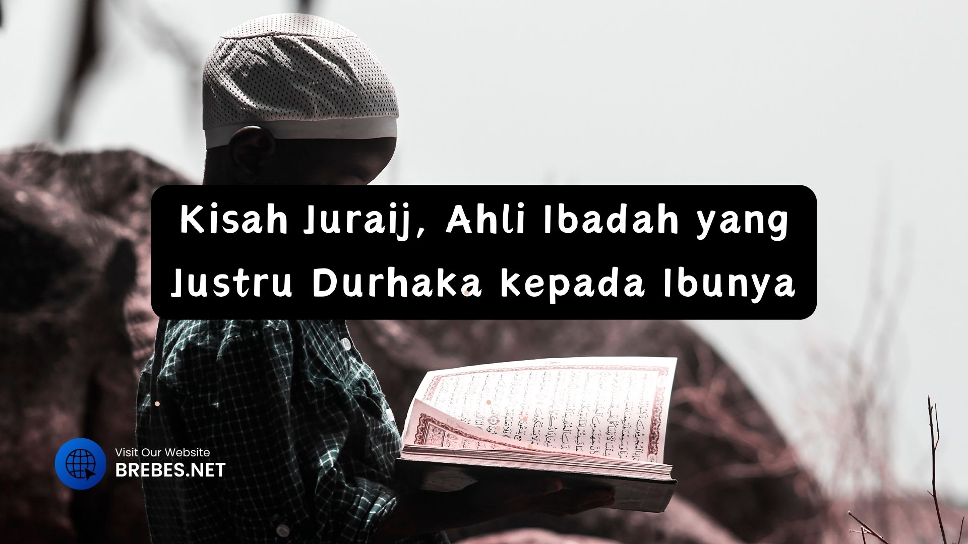 brebes 11