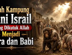 Kisah Kampung Bani Israil Yang Dikutuk Allah Menjadi Kera dan Babi