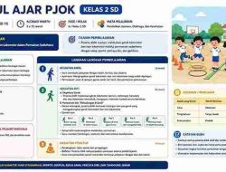 Modul Ajar Pjok Kelas 2 SD Pertemuan ke 15