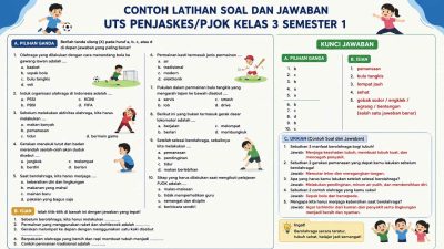 Contoh Latihan Soal dan Jawaban UTS Penjaskes Kelas 3 Semester 1 8 Contoh Latihan Soal dan Jawaban UTS Penjaskes/PJOK Kelas 3 Semester 1