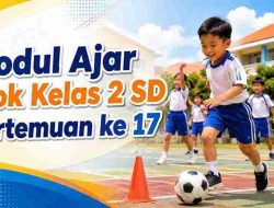 Modul Ajar Pjok Kelas 2 SD Pertemuan ke 17