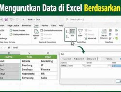 Cara Mengurutkan Data di Excel Berdasarkan Abjad