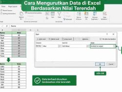 Cara Mengurutkan Data di Excel Berdasarkan Nilai Terendah