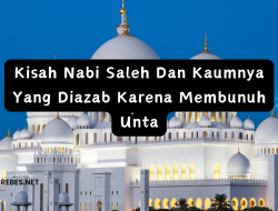 Kisah Nabi Saleh Dan Kaumnya Yang Diazab Karena Membunuh Unta
