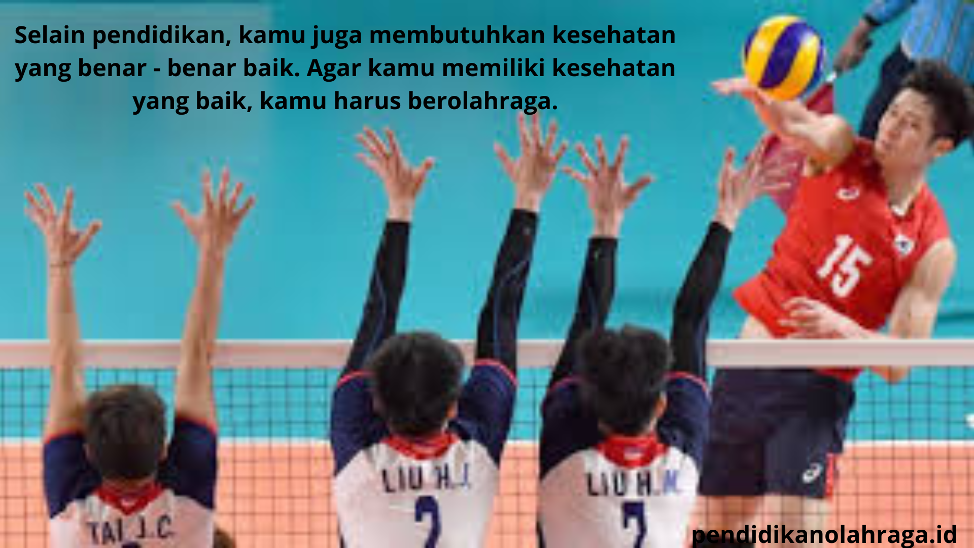 pendidikanolahraga.id 12