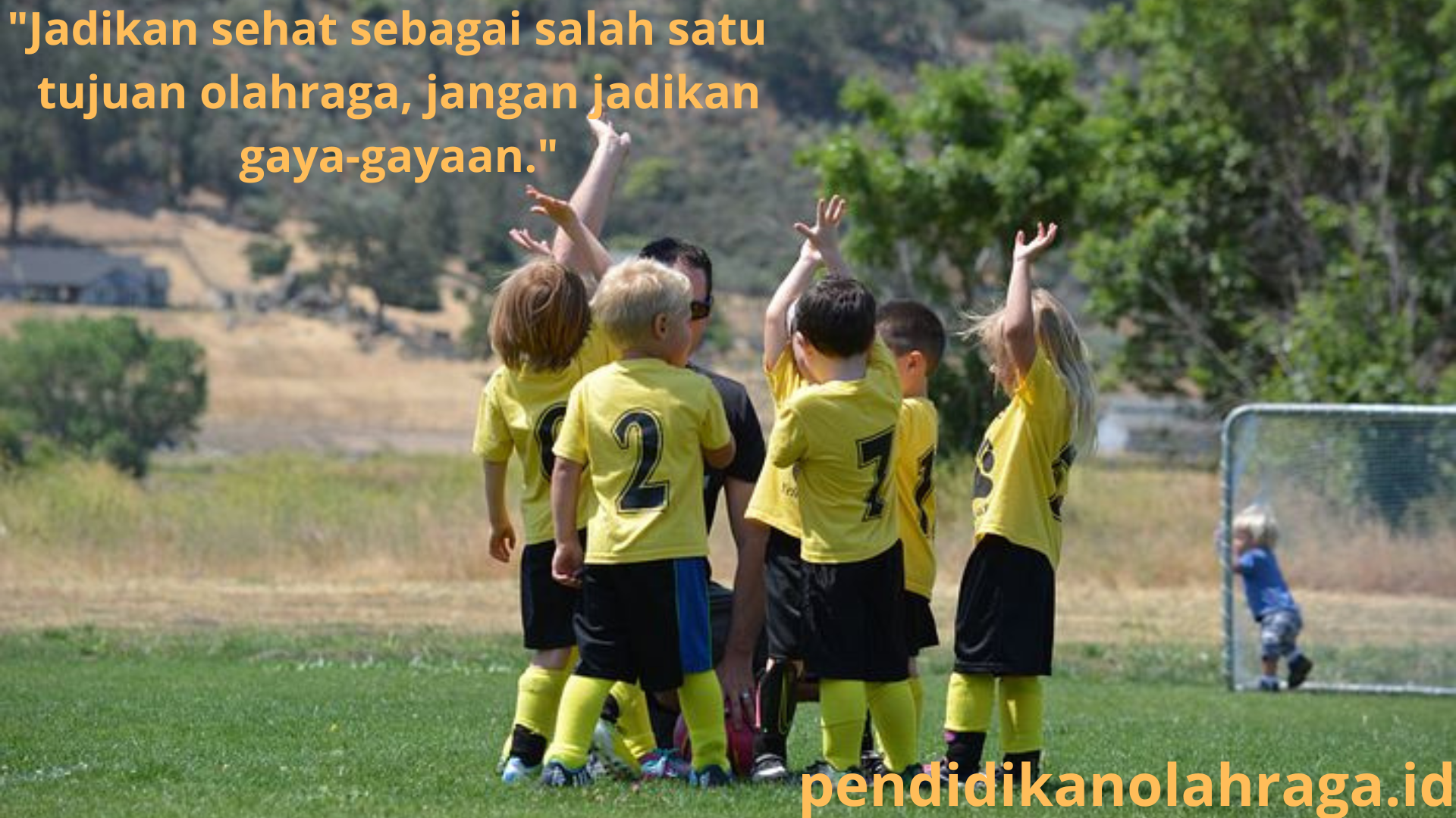 pendidikanolahraga.id 24