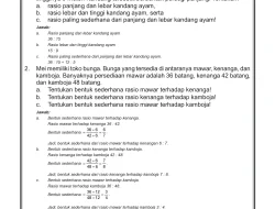 Kunci Jawaban Asesmen Formatif Rasio Matematika Kelas VI SD